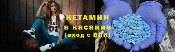 прущие грибы Михайловск