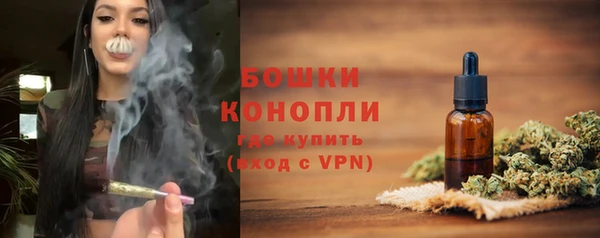 PSILOCYBIN Ессентукская