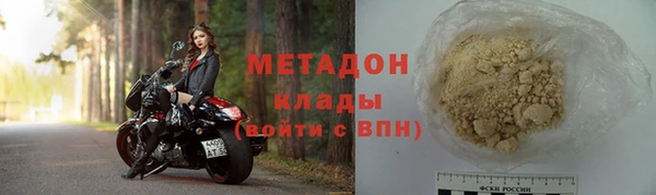 прущие грибы Михайловск