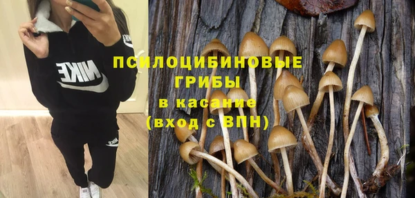 прущие грибы Михайловск