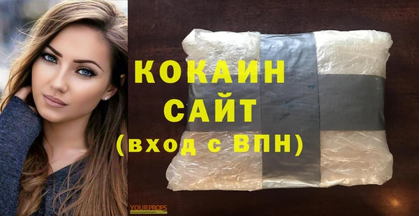 прущие грибы Михайловск