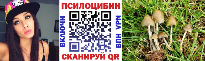 KRAKEN tor Тогучин Псилоцибиновые грибы Cubensis