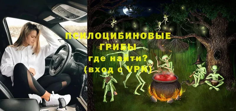 omg ссылка  Тогучин  Псилоцибиновые грибы Magic Shrooms 